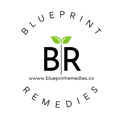 BluePrint Remedies Logo